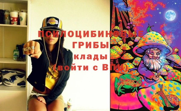 ГАЛЛЮЦИНОГЕННЫЕ ГРИБЫ Сафоново