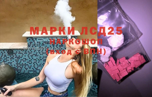 крисы Сатка