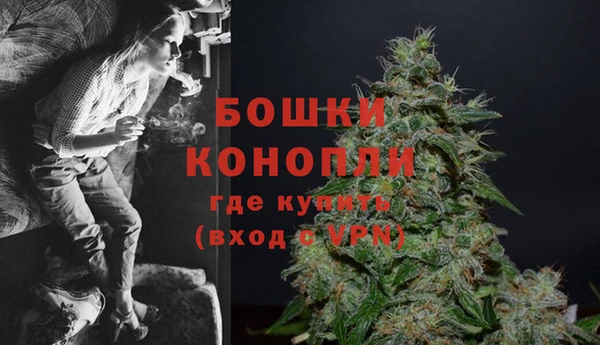 крисы Сатка