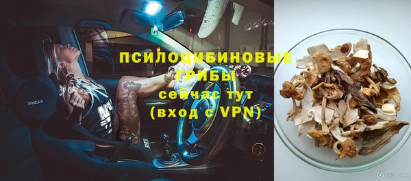 герыч Алексин